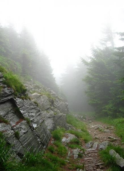 Cesta do neznáma