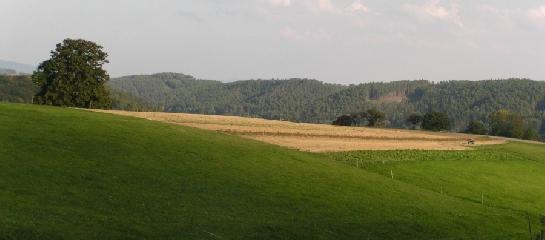 Českodubsko