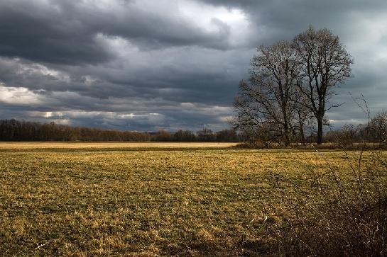 Bouře nad loukou