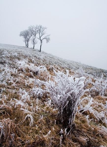 Mrazivá inverze III