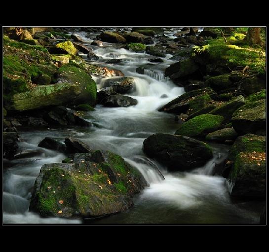 Na Hamerském potoce