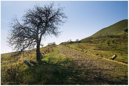 Stará silnice pod kopcem Raná