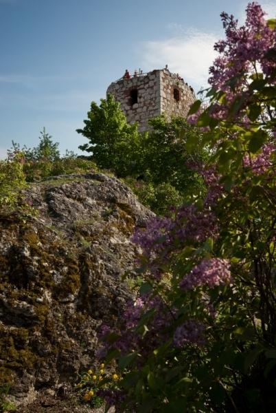 Kozí hrádek s šeříkem