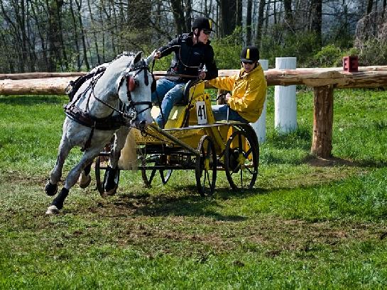 Rudolfův pohár 2010