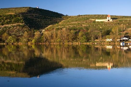 Žernosecké vinice
