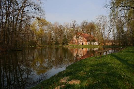 vesnický rybník