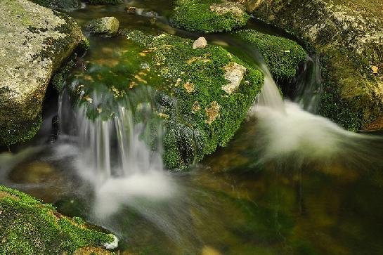 Černohorský potok