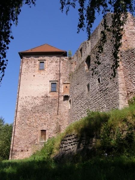 Pecka hrad