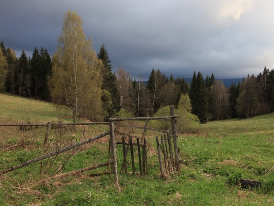Jaro na Šumavě 01