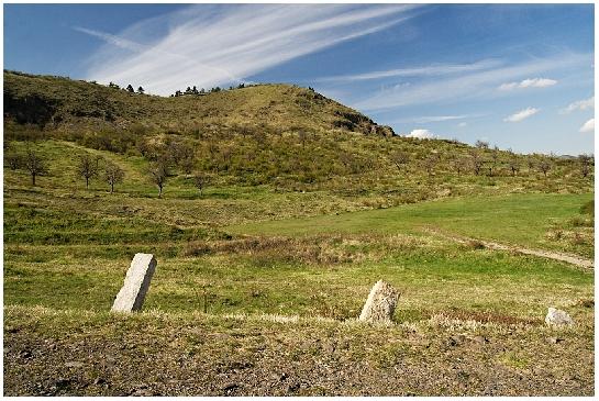 Raná ze staré silnice.