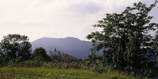 Levín