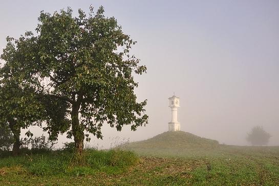 Polní