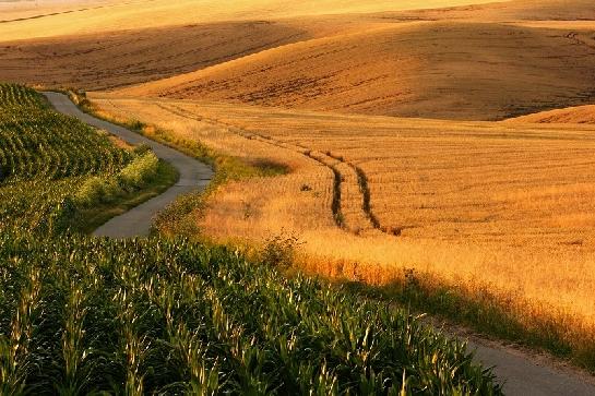 Moravská highway