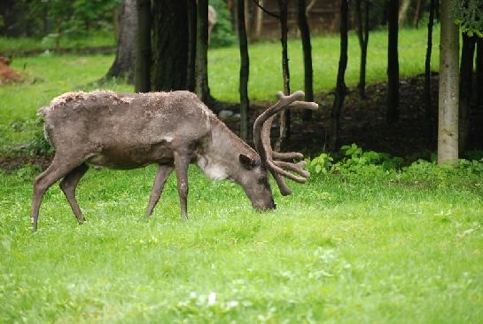 Zoo Olomouc