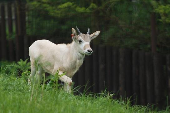 Zoo Olomouc
