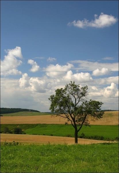 s lidským otiskem