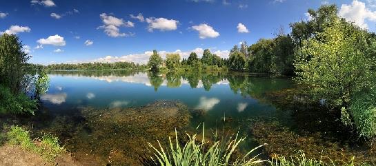Rybník Poděbrady