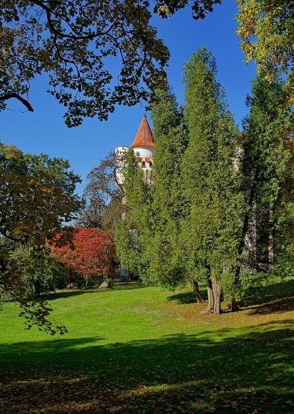 Zámecký park v Žinkovech