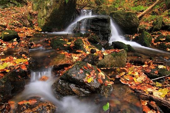 Rešovská jeseň IV