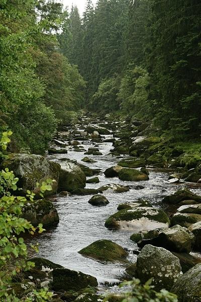 Řeka Vydra na Šumavě