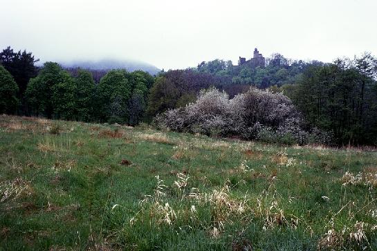 Kostomlatský hrad