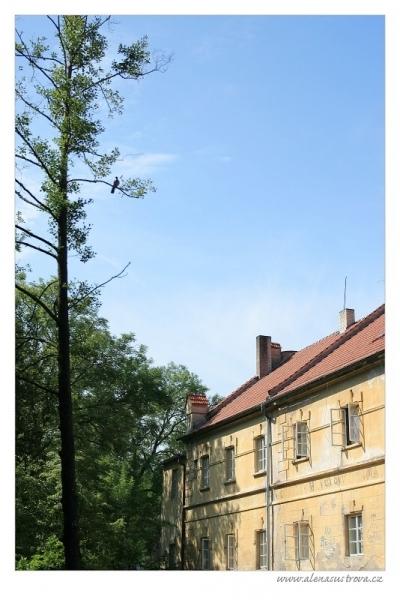 Třeboň - pivovar Regent