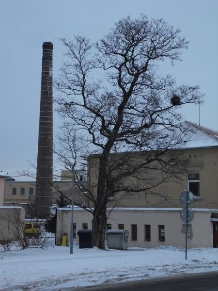 komín a strom