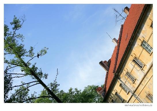 Třeboň - pivovar Regent