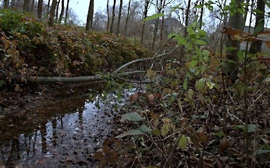 Barevná krása podzimu
