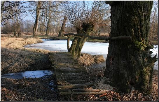 Slaňáky