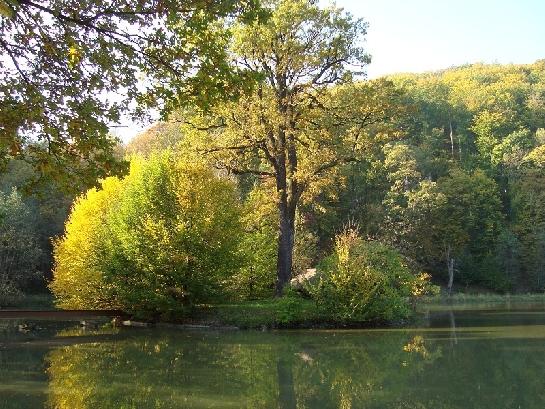 Ostrůvek