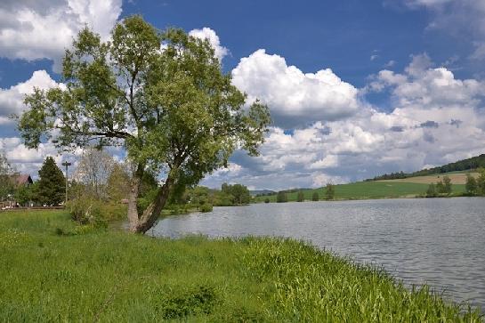 Všerubský rybník