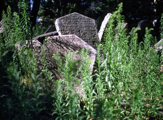 Starý židovský hřbitov