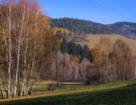 údolí mezi Kašperkami a Kašperkem