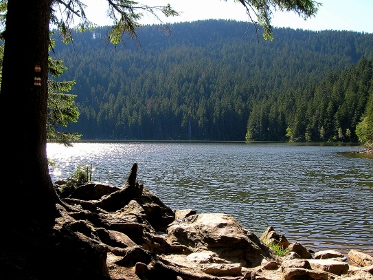 Čertovo jezero - Šumava