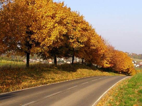 Podzim na hošťálkovickém kopci