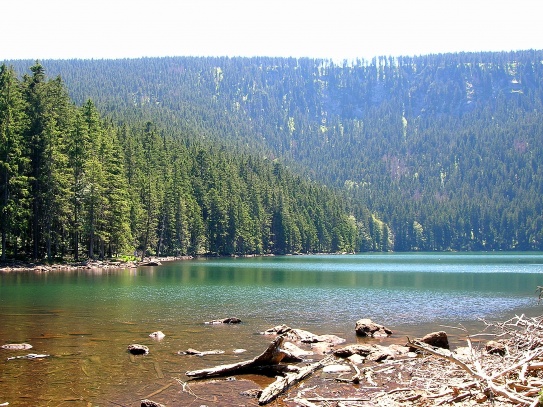 Černé jezero - Šumava
