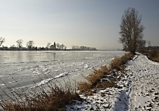 Labe v zimě