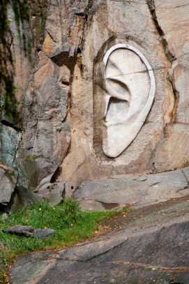 Bretschneidrovo ucho 02