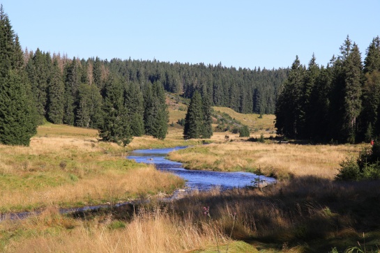 Modrá Modrava - Šumava