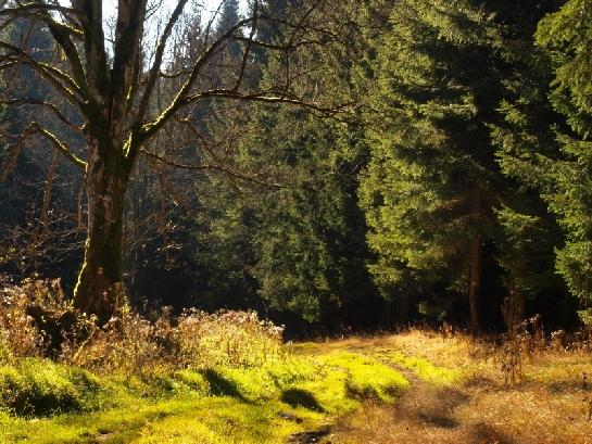 bývalá huť Hluboká pod Zhůřím