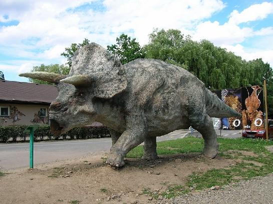 Triceratops - Plzeň