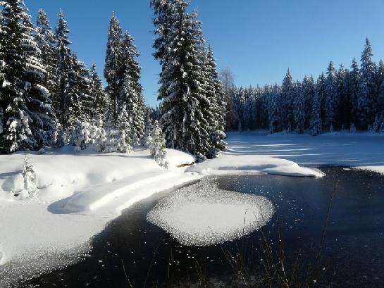 zima na Blatném rybníku