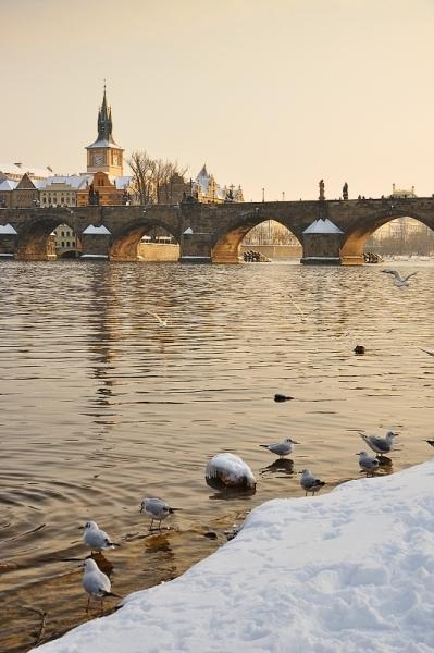 Zima na Vltavě