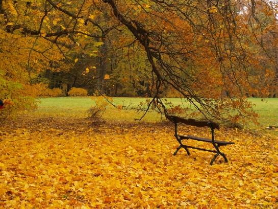 Park zámku Sychrov