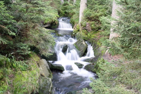 Jezerní potok - Šumava