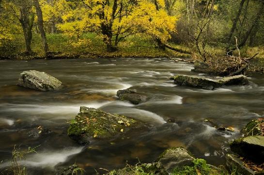 Podzim v údolí Oslavy