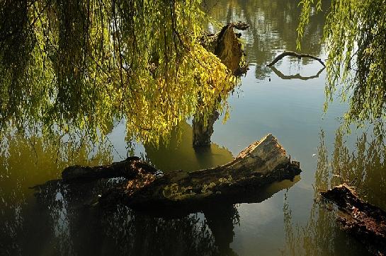 Podzim v parku zámku Lednice