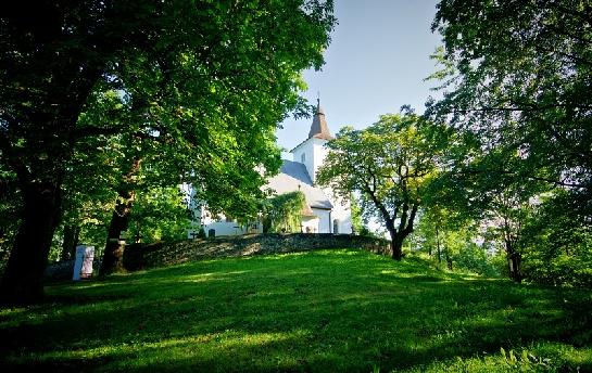 Mouřenec