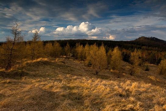 Krajina krušnohorská